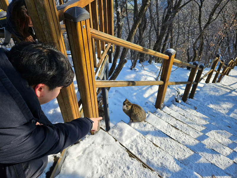 ⛰️이번주말에 등산어때?