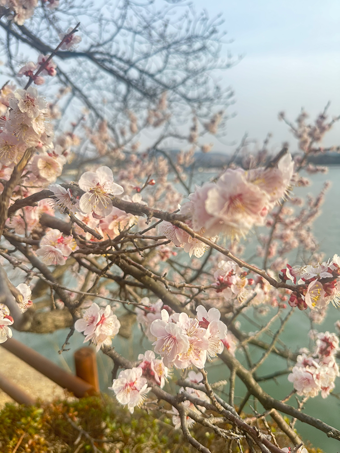 보문단지 썸네일