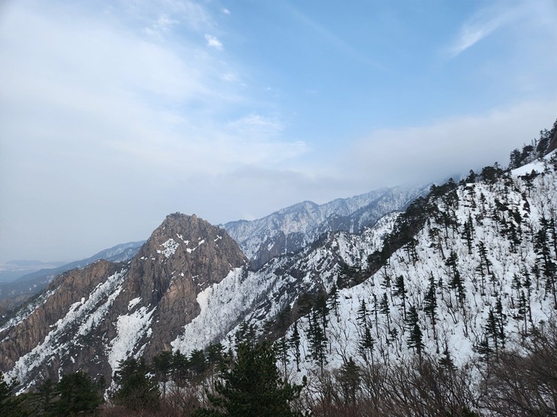 등산과 산책 모임(평일&주말 산행) 썸네일