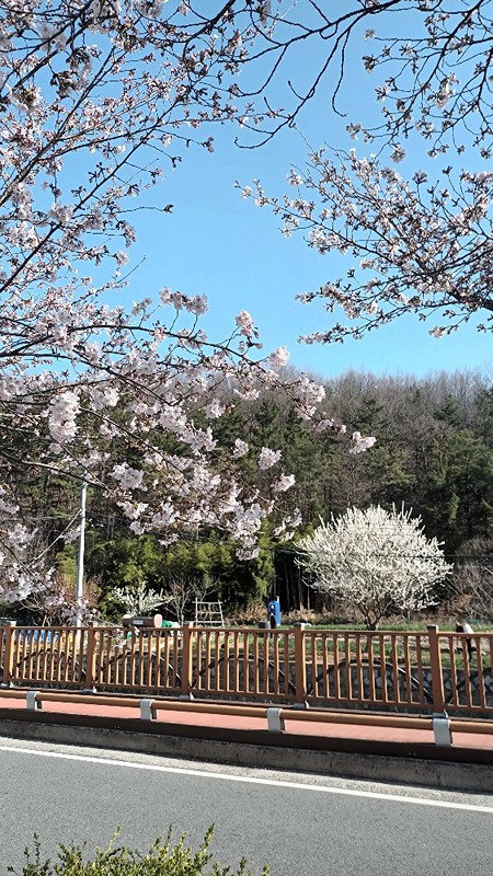 가을이 지나가는 길목에서 썸네일