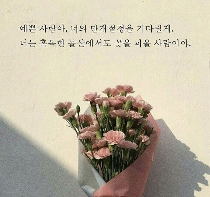 봄, 사랑 벚꽃 말고  🌸 손글씨 🌸 썸네일