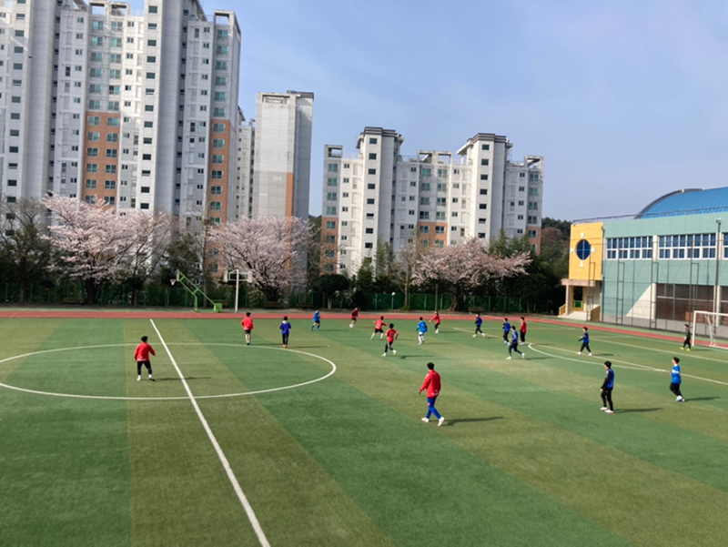 부산 조기축구 썸네일