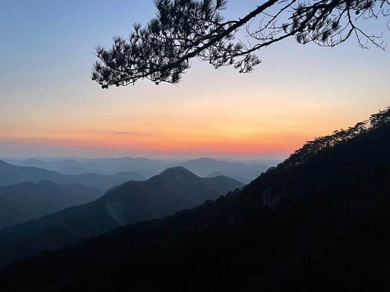 산을 좋아하는 사람들 썸네일