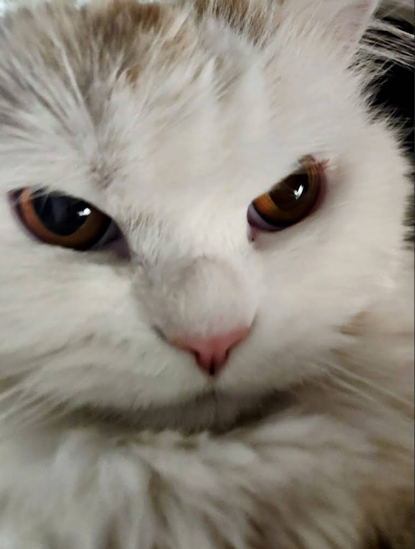 ㅋㅌㅌ 썸네일