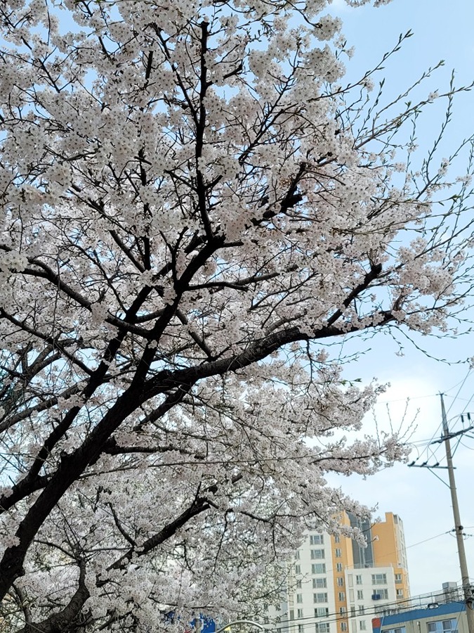 전진 아파트앞 썸네일