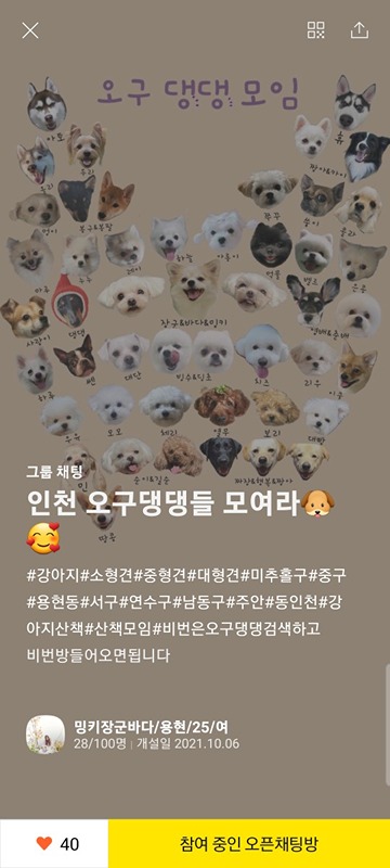 용�현동주변 강아지산책모임 썸네일
