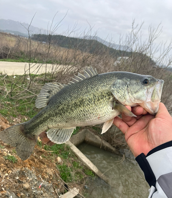 배스낚시 소통방❤️