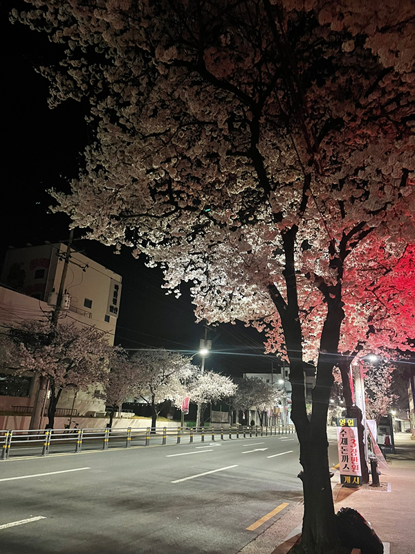 대구 3040 남자180 여자168이상 썸네일