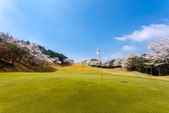 향동 골프 100돌이 스크린 모임 썸네일