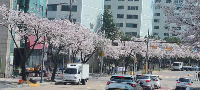 골프완전초보 모임 썸네일