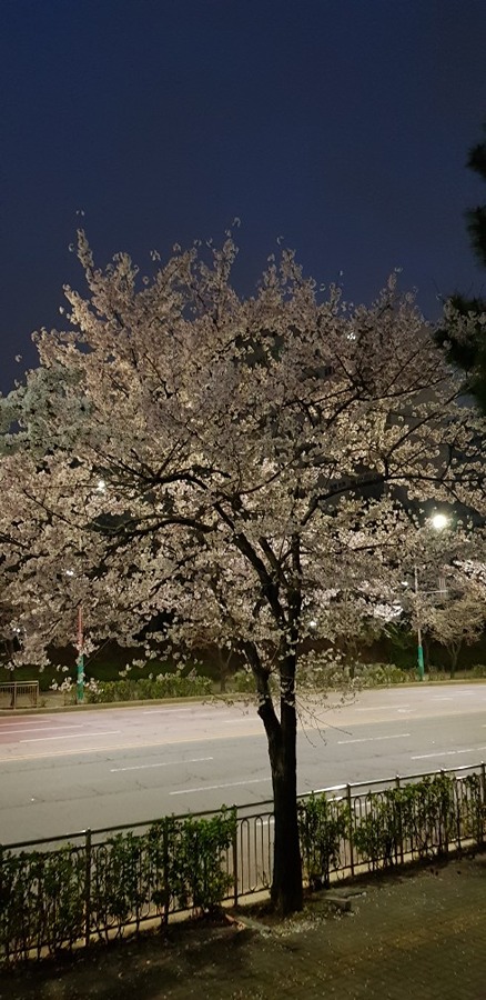 새벽출근길. 썸네일