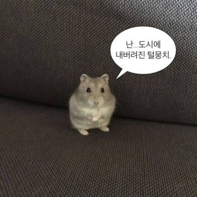 수원 00~05 모임😆 썸네일