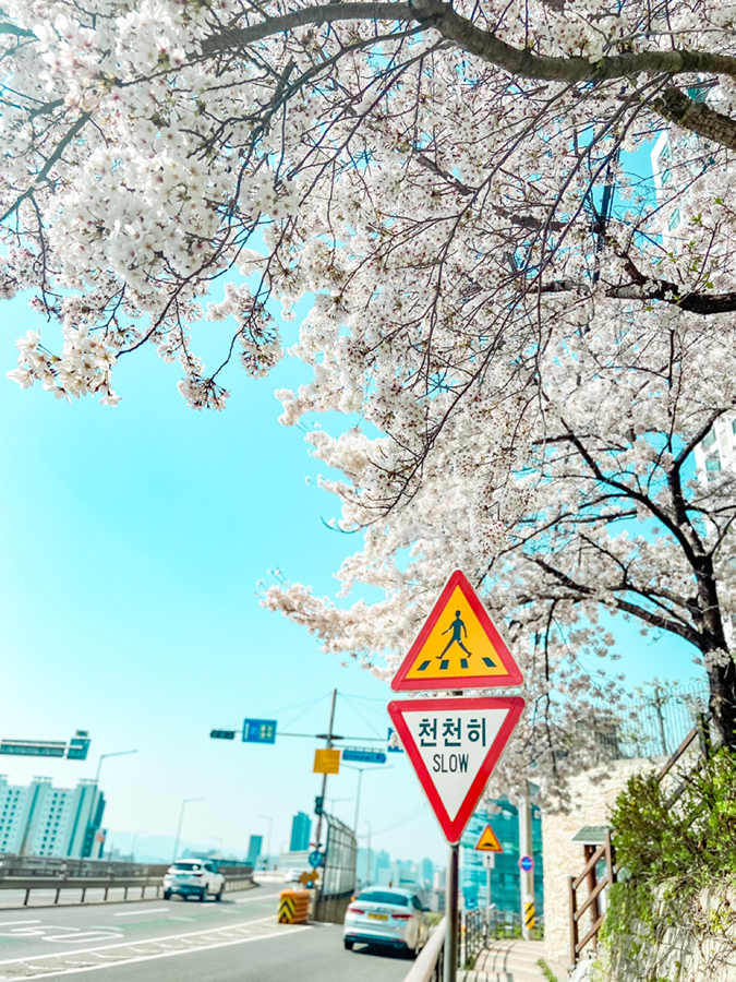 집에 있기 아까운 날씨에요! 썸네일