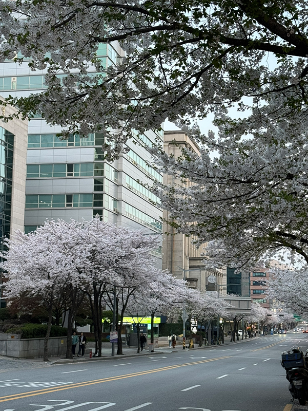 강남구 스터디원 모집 썸네일