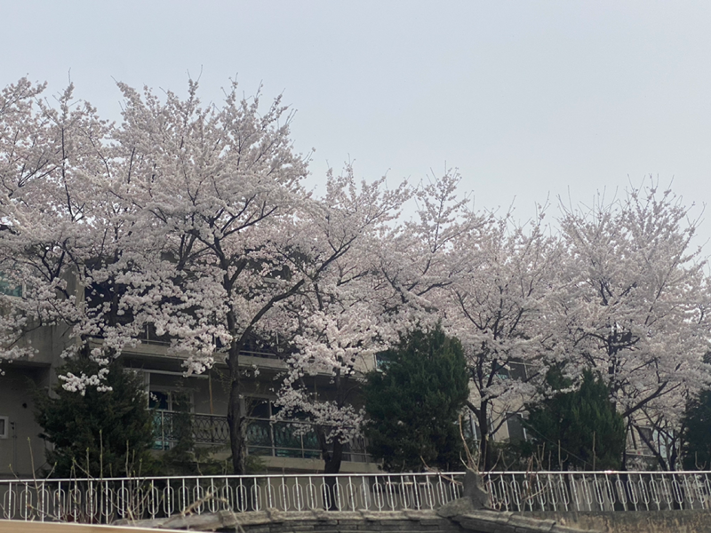 춘천친구들❤️ 썸네일