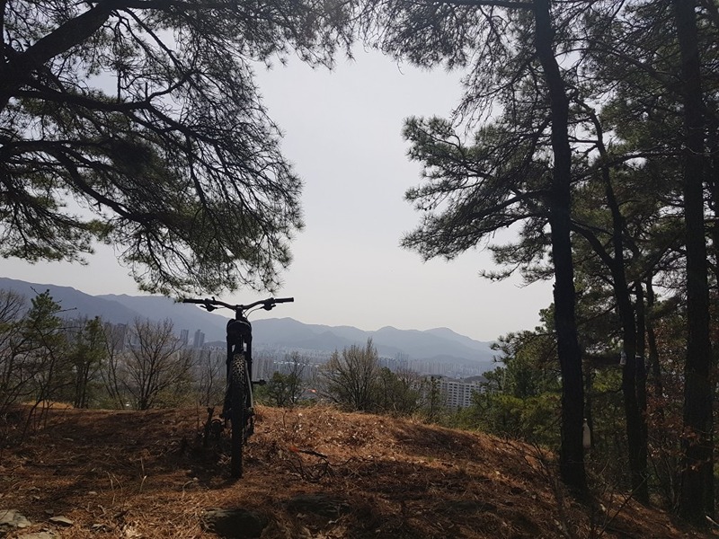 모디 - 산악��라이딩, 정비 모임 썸네일