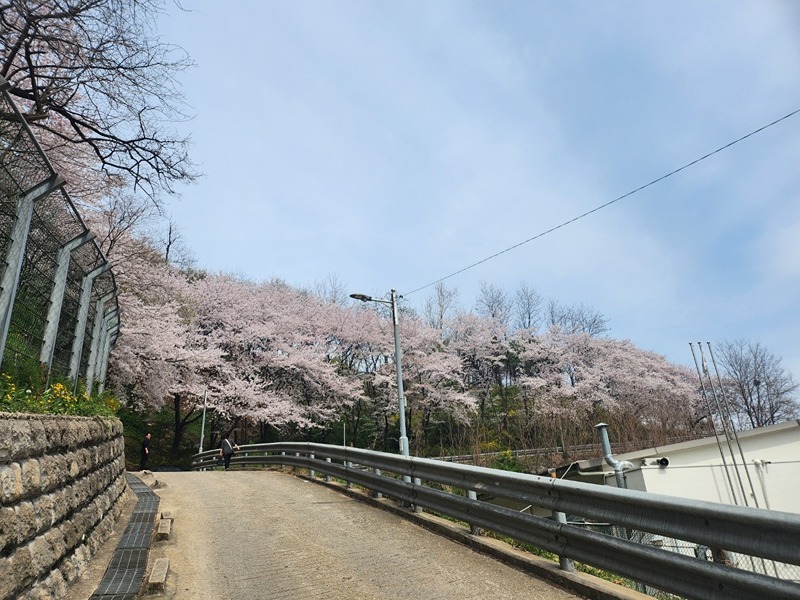 40~60 서달산,현충원 산책