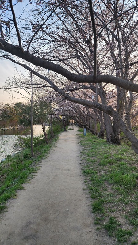 같이 걷기운동해요~ 썸네일