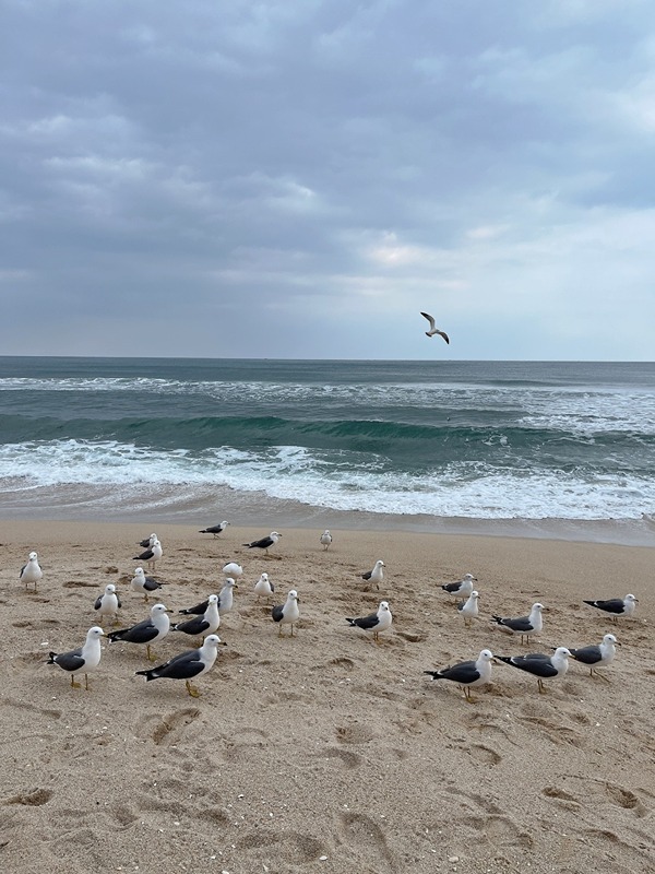 같이 걷기운동해요~