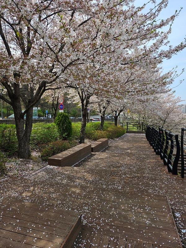 ❤️대구 걷기 ~ 가까운동네 산행해요~❤️