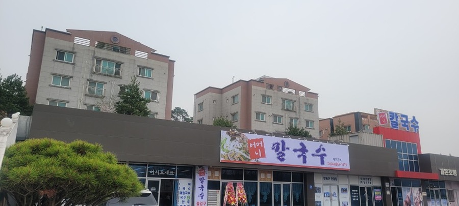 어머니 칼국수 썸네일