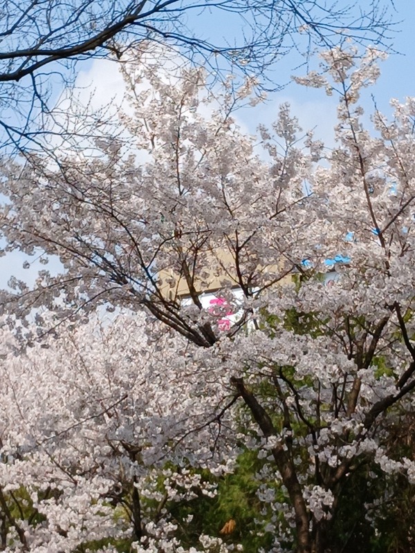 아산.배방 [ 신박한 ] 팔빵~칠빵~♡