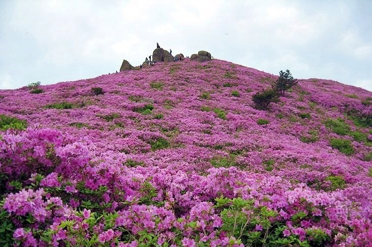 좋은인연 산악회 썸네일