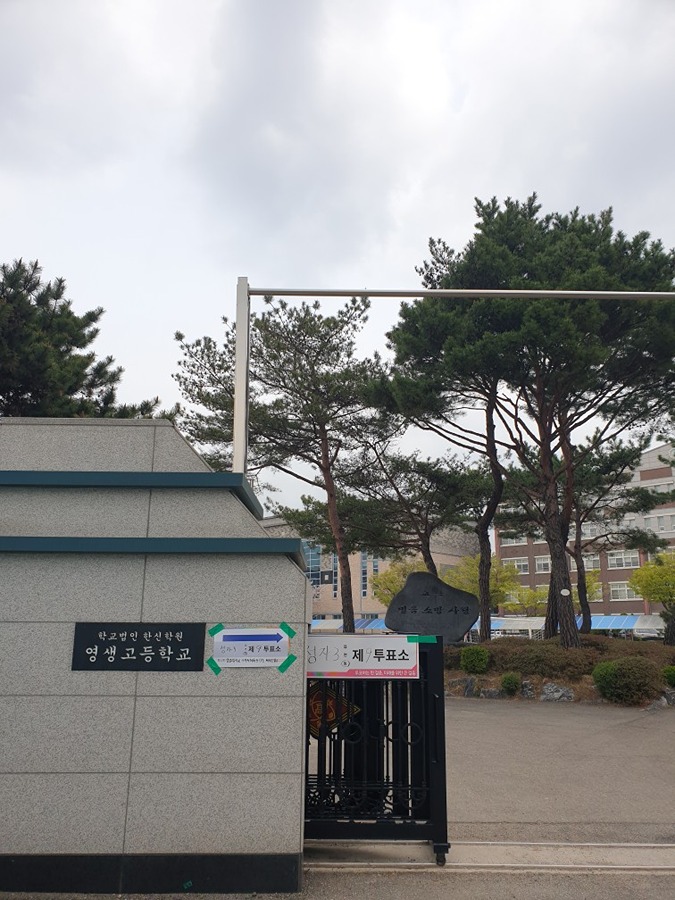 오전에 투표도 하고 아점으로 본만두서 한끼 썸네일