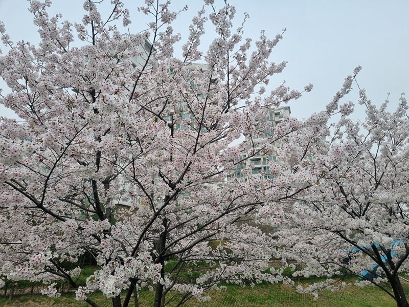 등산모임