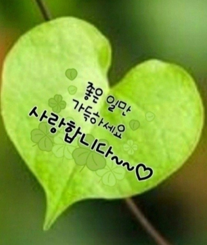 70년~60년 솔로좋은 친구여행 썸네일