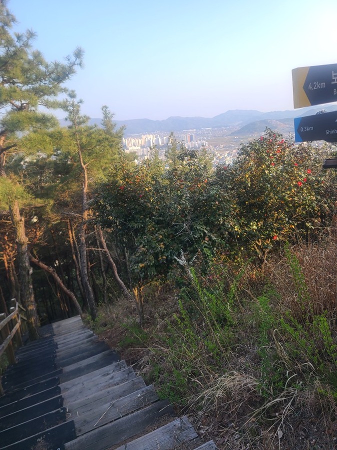 봉황정  썸네일