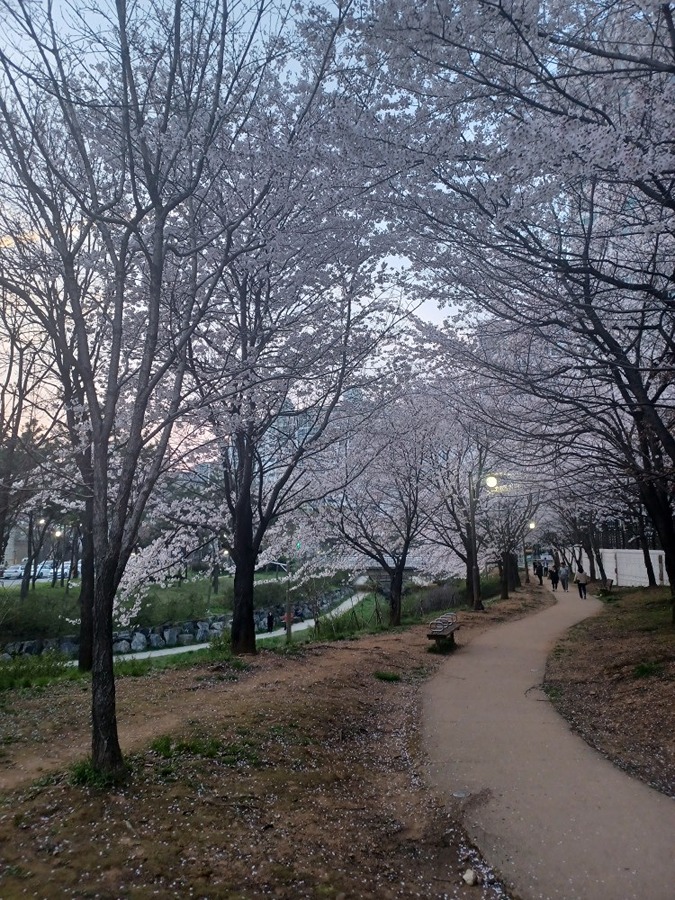 당하동에서 지낸지 벌써 10년이 훌쩍... 썸네일