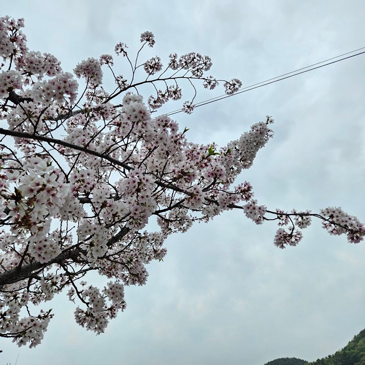 진동맘 육아소통😄 썸네일