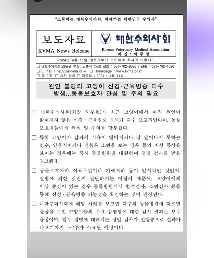 ��고양이 사료 주의하세요 썸네일
