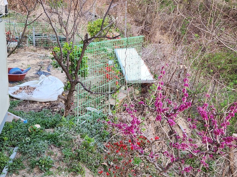 깊은 산골 오막살이 집