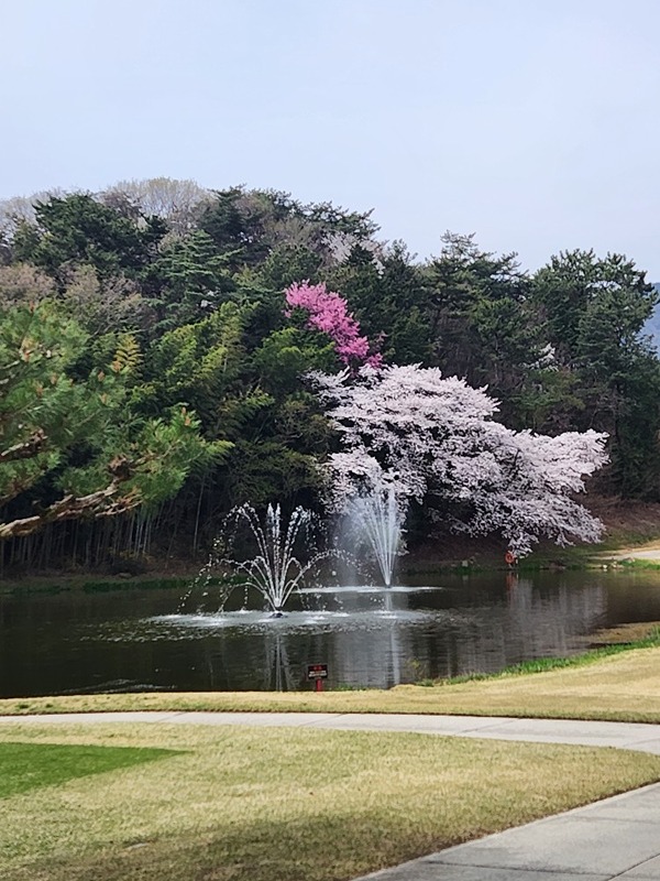 창녕송림 골프 모임