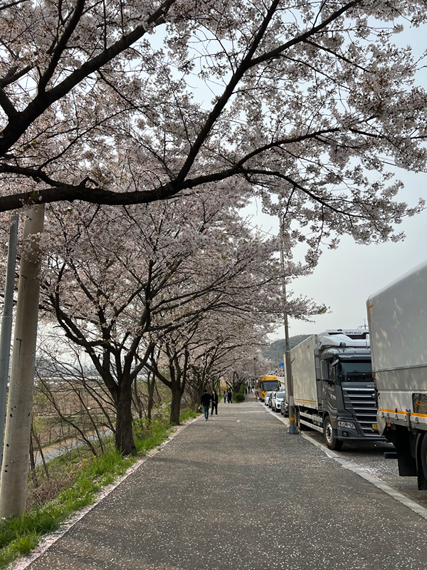 ❤️함께 걸어요~ 등산 트래킹 산보 산책☺️ 썸네일