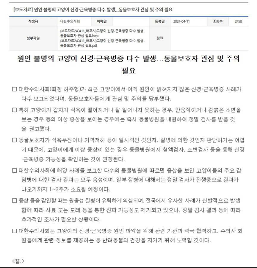 정보) 고양이 유행병, 사료 주의하세요 썸네일