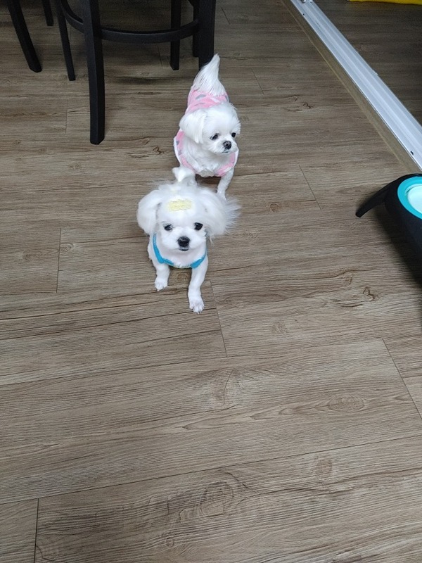 음악을좋아하는사람들들어오세요 썸네일