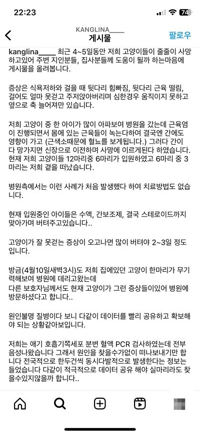 고양이 사료 조심하세요 썸네일