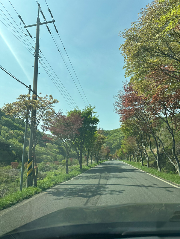 정똑!📌(독서모임) 썸네일