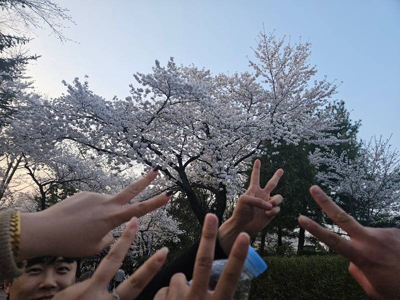 [논알콜동네친목🌈] 🌟논두렁 🌟 썸네일