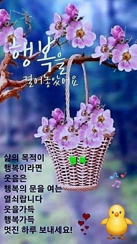 60대방