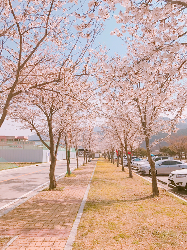 양구 일,육아에 지친 일상탈출모임🎊 썸네일