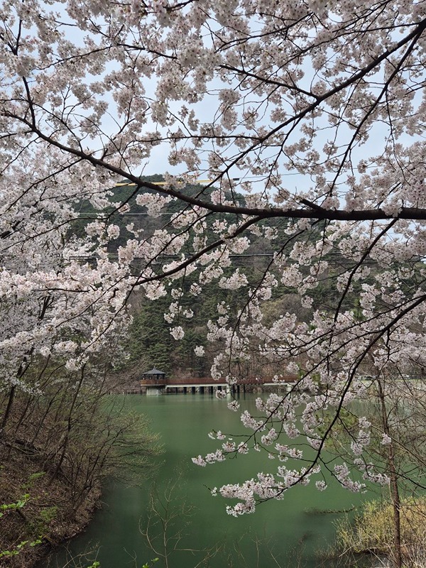 🤎시지천을산⛰️오르기🤎 썸네일