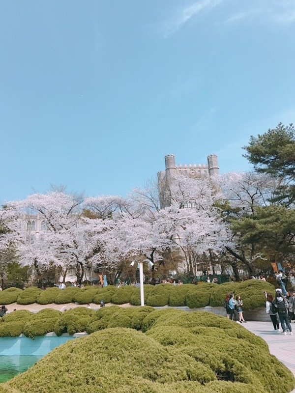 "송등모" 친구 만들기  "친목" 썸네일