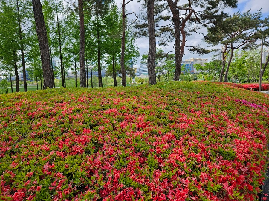 호수공원 산책중 썸네일