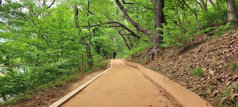 시한수 (📚 시낭송 🌷 여성만) 썸네일