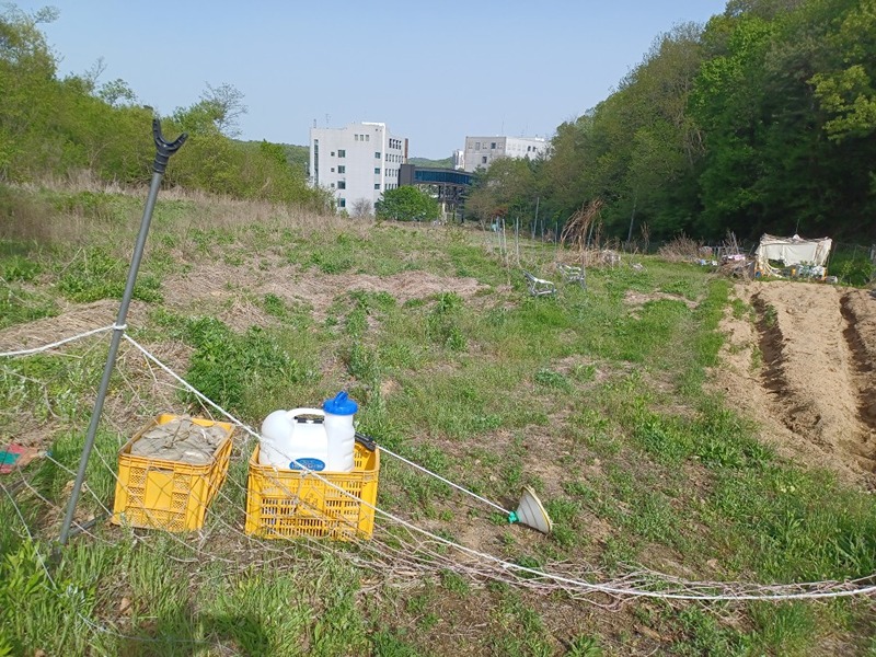 자연농법연구회 썸네일