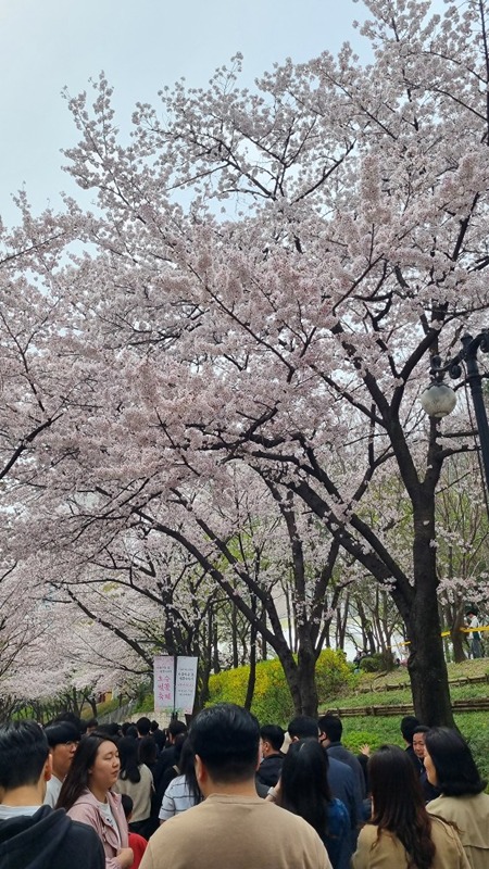 기초영어회화책 한 권 외우기 썸네일